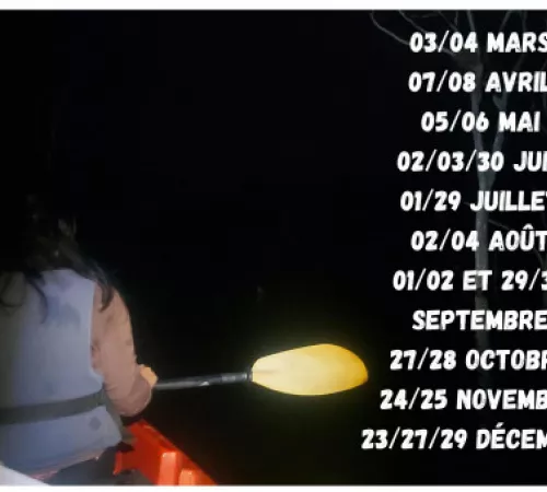 Sortie Pleine lune Sortie Pleine lune