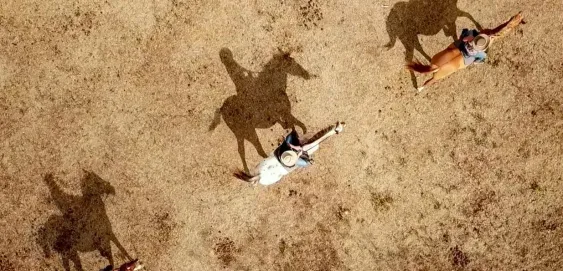 Stockmen de Nouivelle-Calédonie