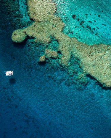 Lagon de Nouvelle-Calédonie Lagon de Nouvelle-Calédonie