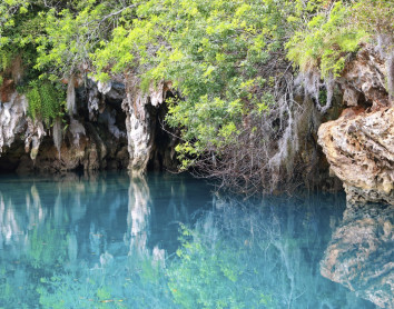 Rivière de Vanuatu Rivière Piscine Naturelle Vanuatu